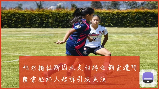 帕尔梅拉斯因未支付转会佣金遭阿隆索经纪人起诉引发关注